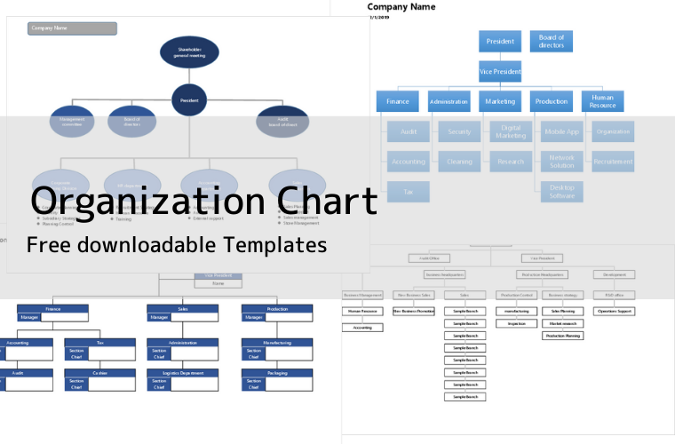 word organization chart template